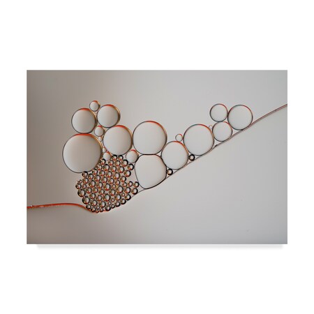 Trademark Fine Art Heidi Westum 'Golden Rings' Canvas Art, 16x24 1X05294-C1624GG